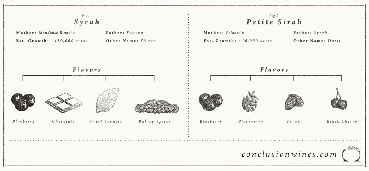 Here's a summary of the differences between Syrah and Petite Sirah.